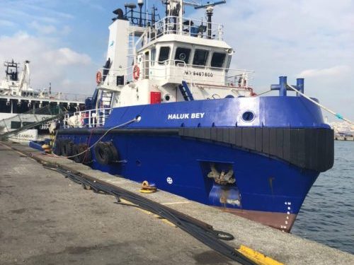 h4 Haluk Bey - Zeymarine