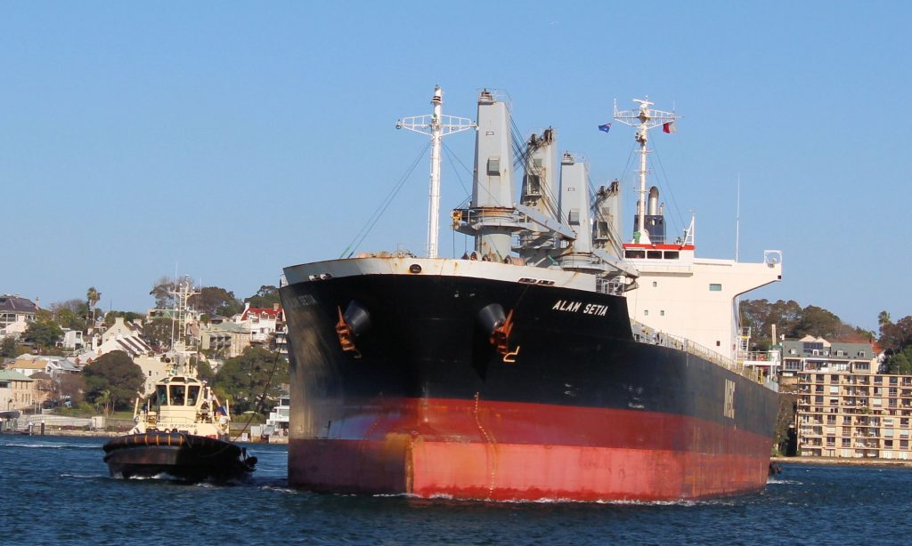 World's largest Bulk Carriers | Zeymarine