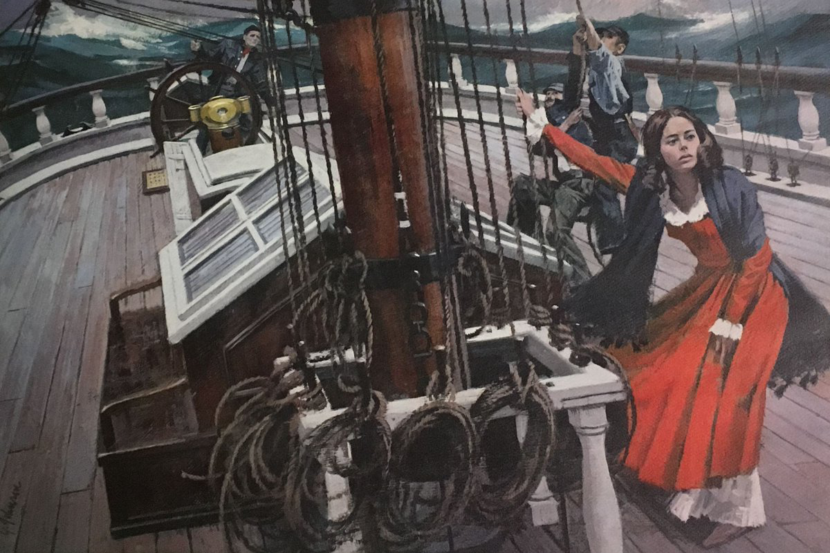 zeymarine-sail_to_the_equality zeymarine-sail_to_the_equality